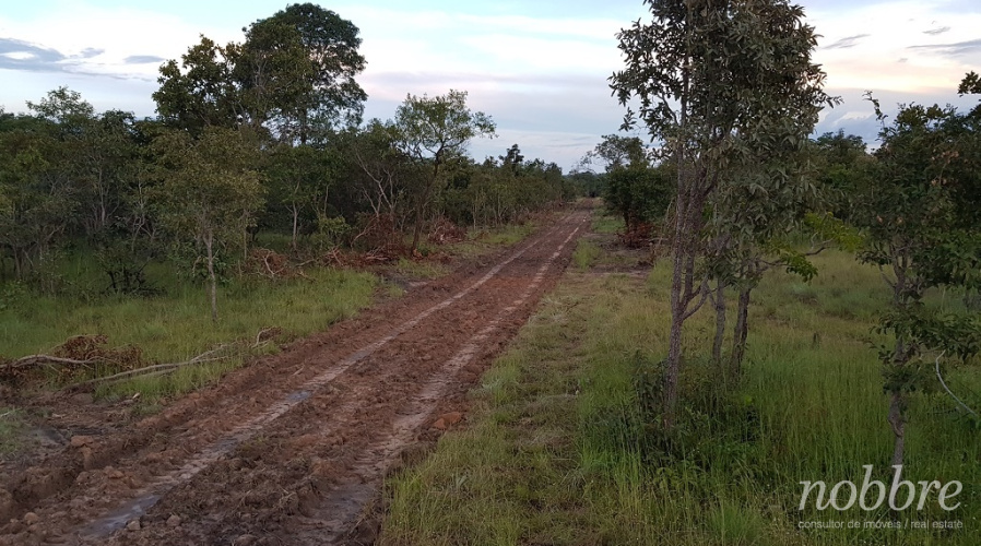 Fazenda para arrendar no estado do Maranhão.